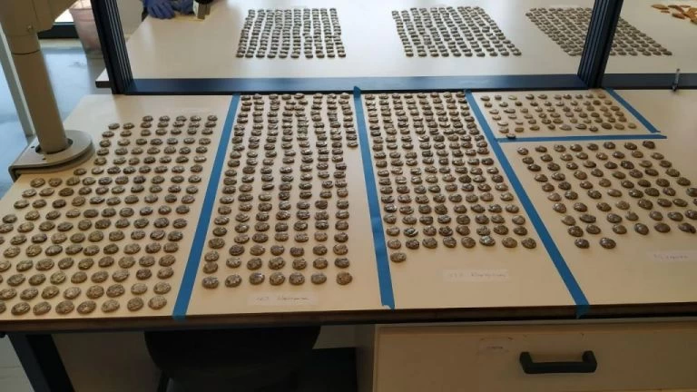 ΑΑΔΕ: Μία σύλληψη για παράνομα αρχαία ελληνικά νομίσματα